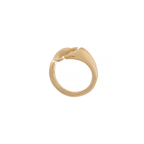 Asymmetric Splicing Ring